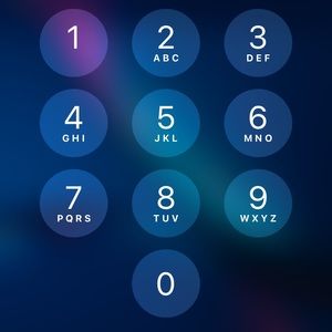 Meet your Posher, King